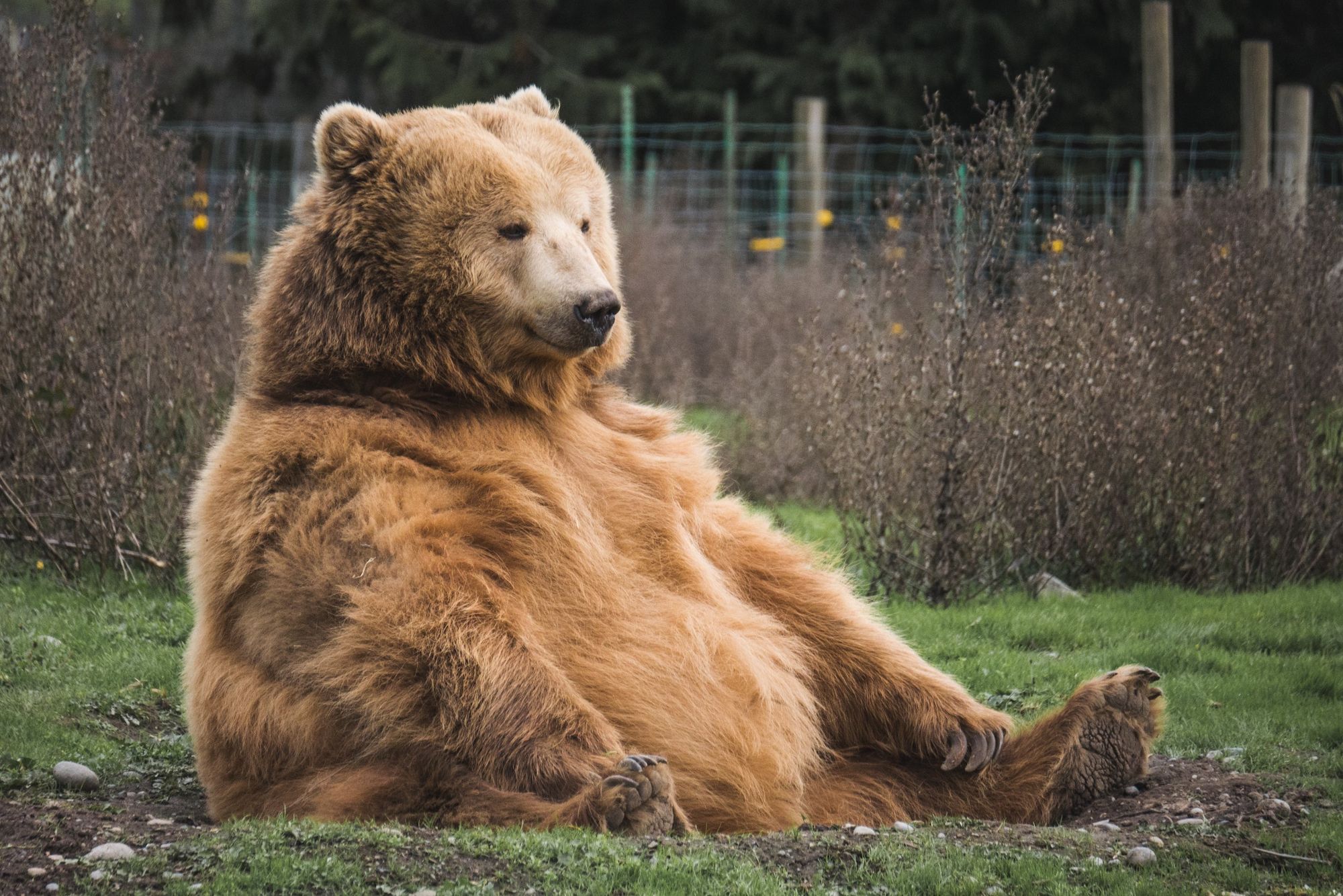 How to Beat The Bear Market with Algorithmic Trading